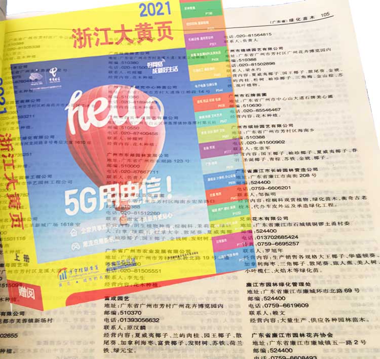 什么是黄页号码？