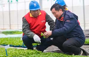 全国种业公司工商企业名录