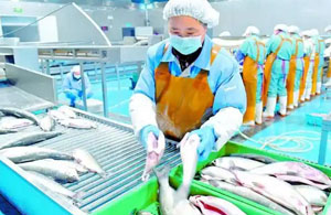 全国水产公司工商企业名录