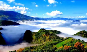 云南临沧市工商企业名录