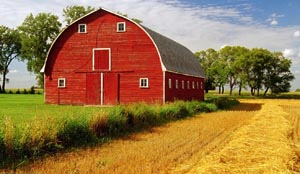 全国198221家农场企业工商名录出版发行