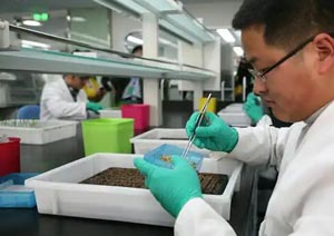 全国种子公司工商名录