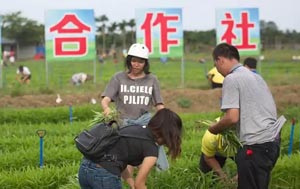 ​全国合作社公司工商名录