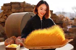 河南电池公司工商企业名录