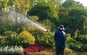 全国绿化工程公司工商企业名录