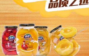 2026糖酒会罐头食品经销商名录