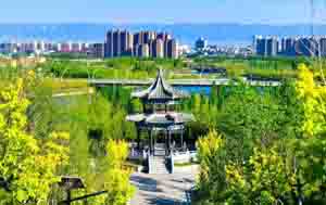山西朔州市工商企业信息库