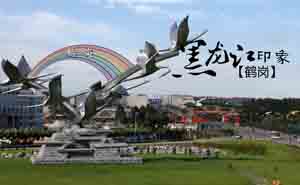 黑龙江鹤岗市公司名录